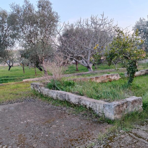 Pezze d'acqua fresca3