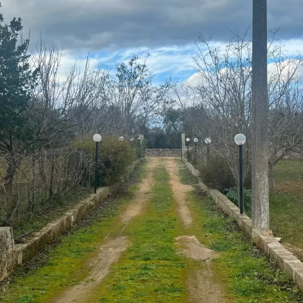 Signoranna7