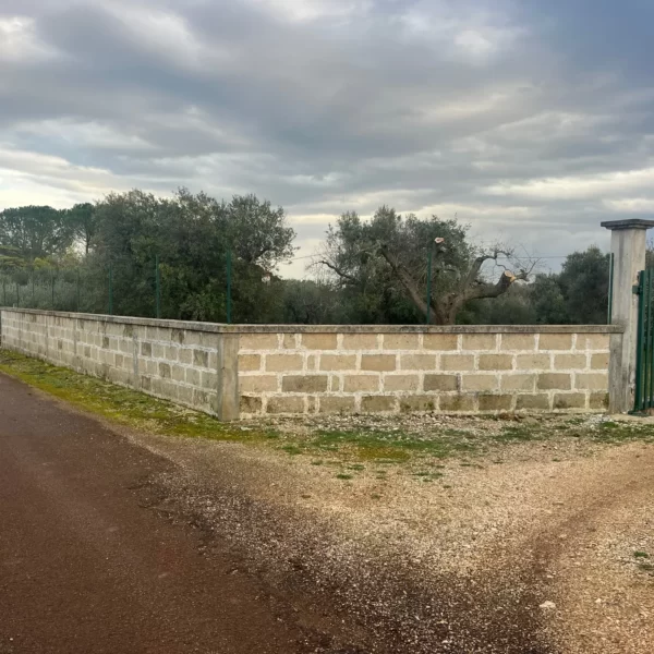 Signoranna8