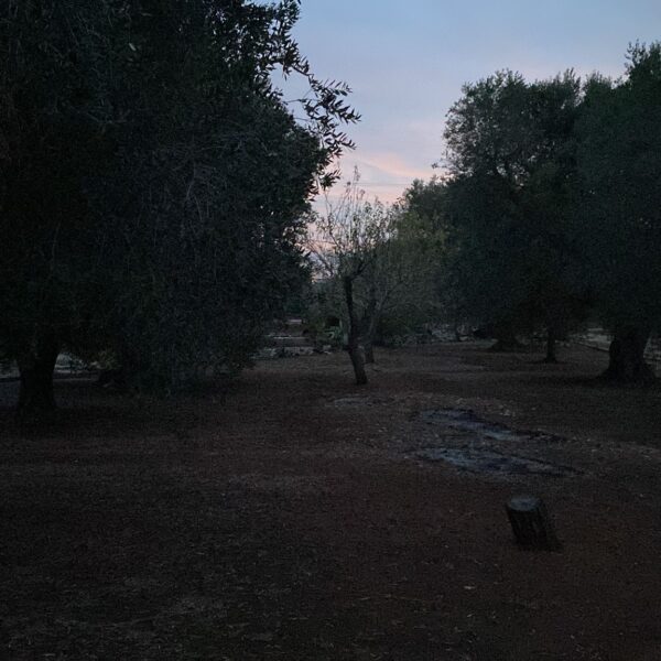 Morgicchio