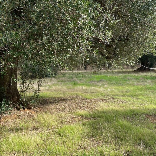 c.da Signoranna 2