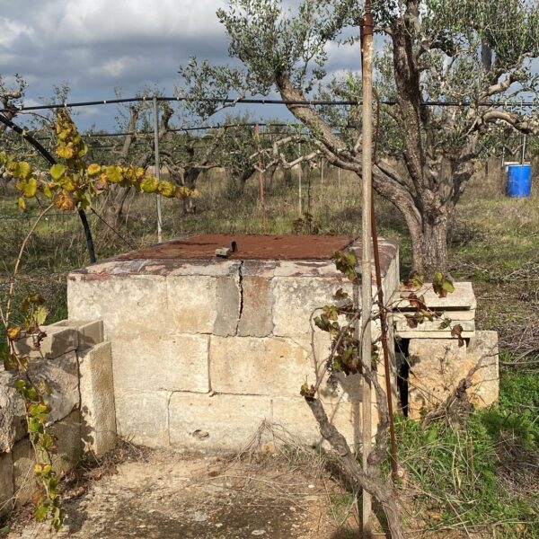 Campo di Monaci 4