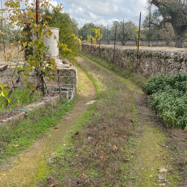 Campo di Monaci 6